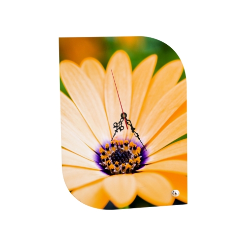 C1926 = dreptunghi, 19x26 cm